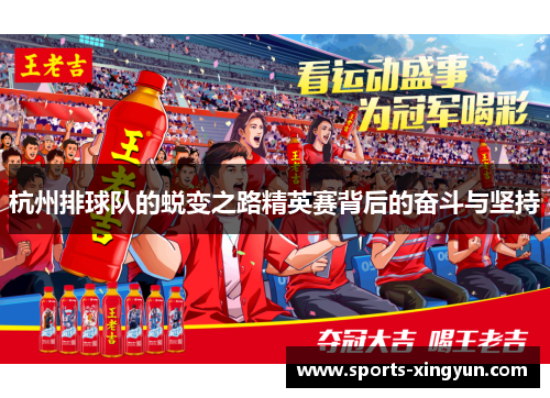 杭州排球队的蜕变之路精英赛背后的奋斗与坚持